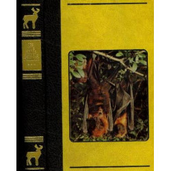 Histoires d'animaux tome 3