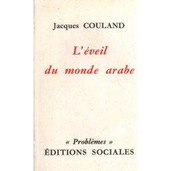 L'éveil du monde arabe