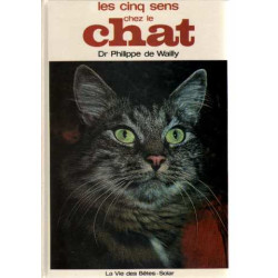 Les cinq sens chez le chat
