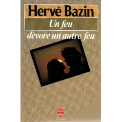 Un feu dévore un autre feu