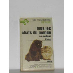 Chat noir miroir des songes