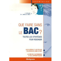 Que faire sans le bac