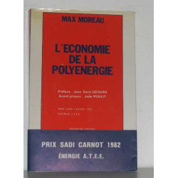 L'économie de la polyénergie