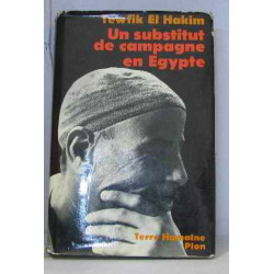 Un substitut de campagne en egypte
