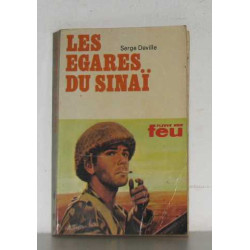 Les egarés du sinaï