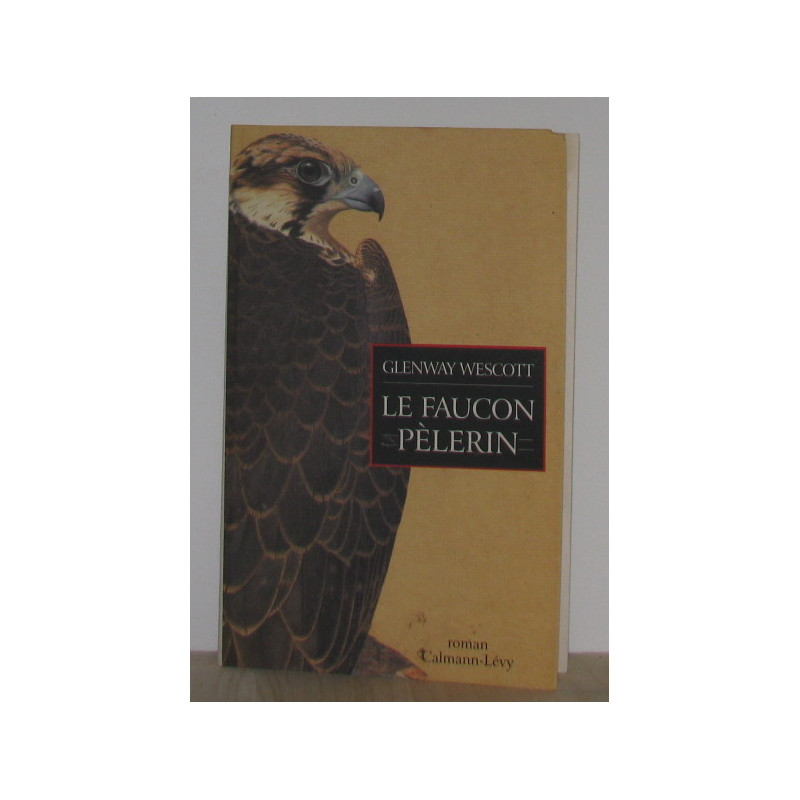 Le faucon pèlerin