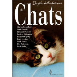 Les plus belles histoires de chats