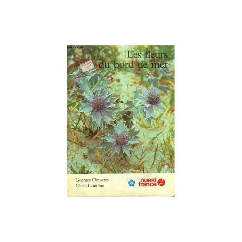 Les fleurs du bord de mer