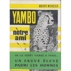 Yambo notre ami