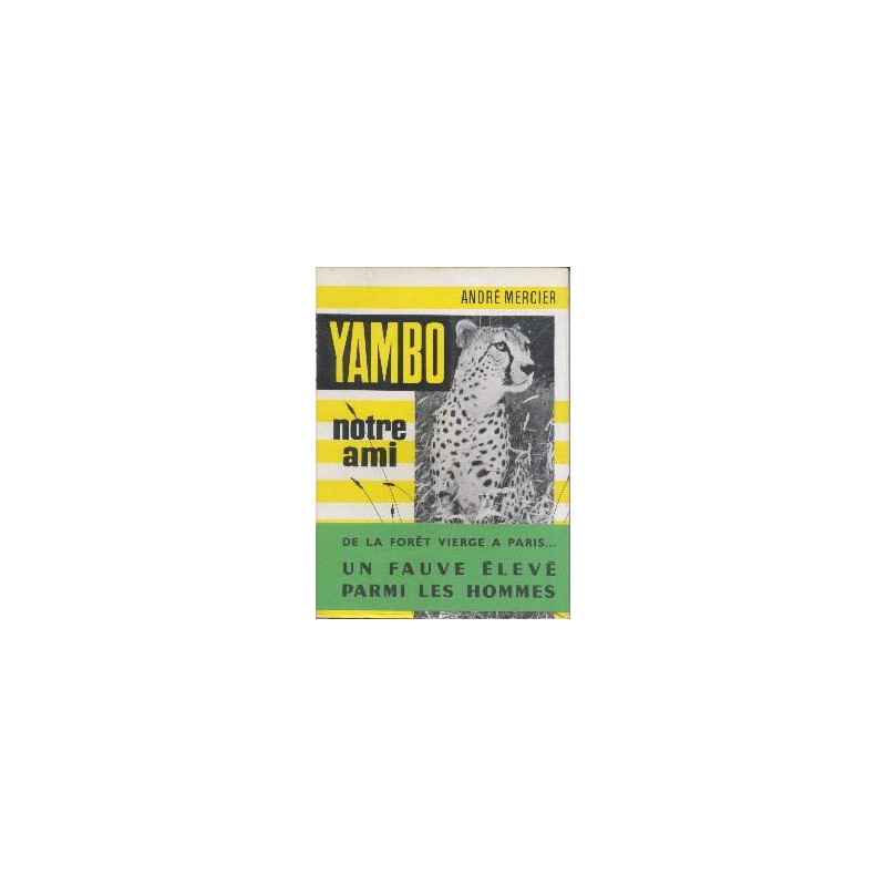 Yambo notre ami