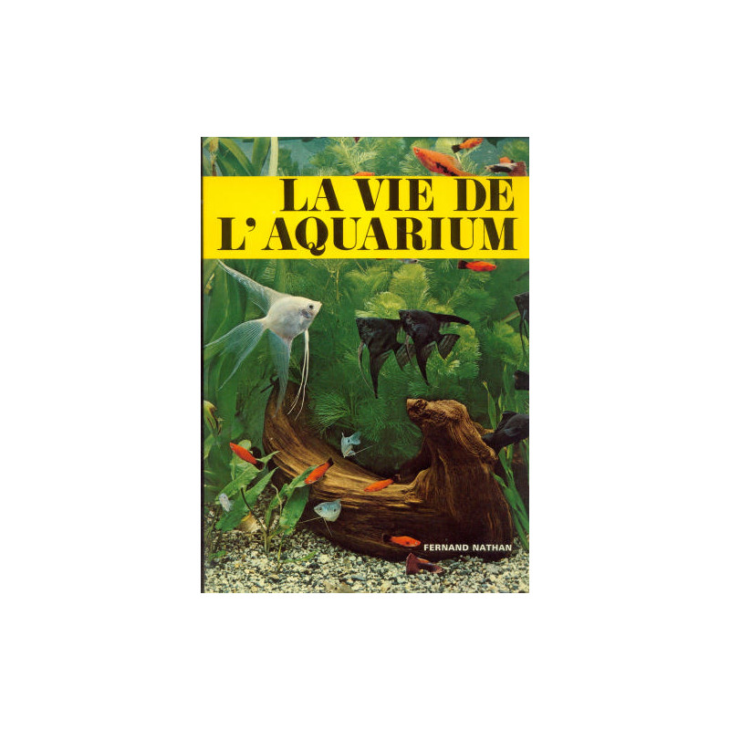 La vie de l'aquarium