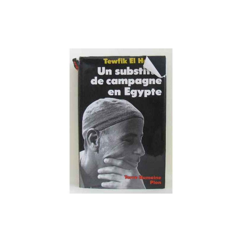 Un substitut de campagne en égypte