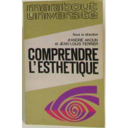 Comprendre l'esthétique