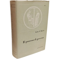 Il processo di governo