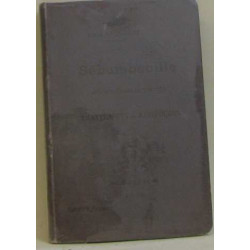 Le sébumbacille