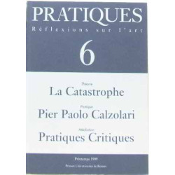La catastrophe. Pratiques critiques