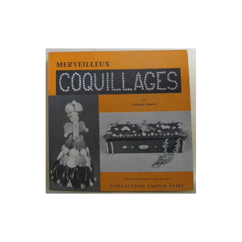 Merveilleux coquillages