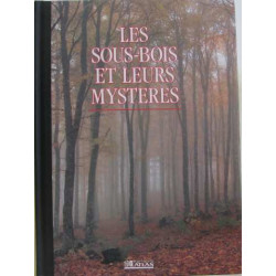 Les sous-bois et leurs mystères