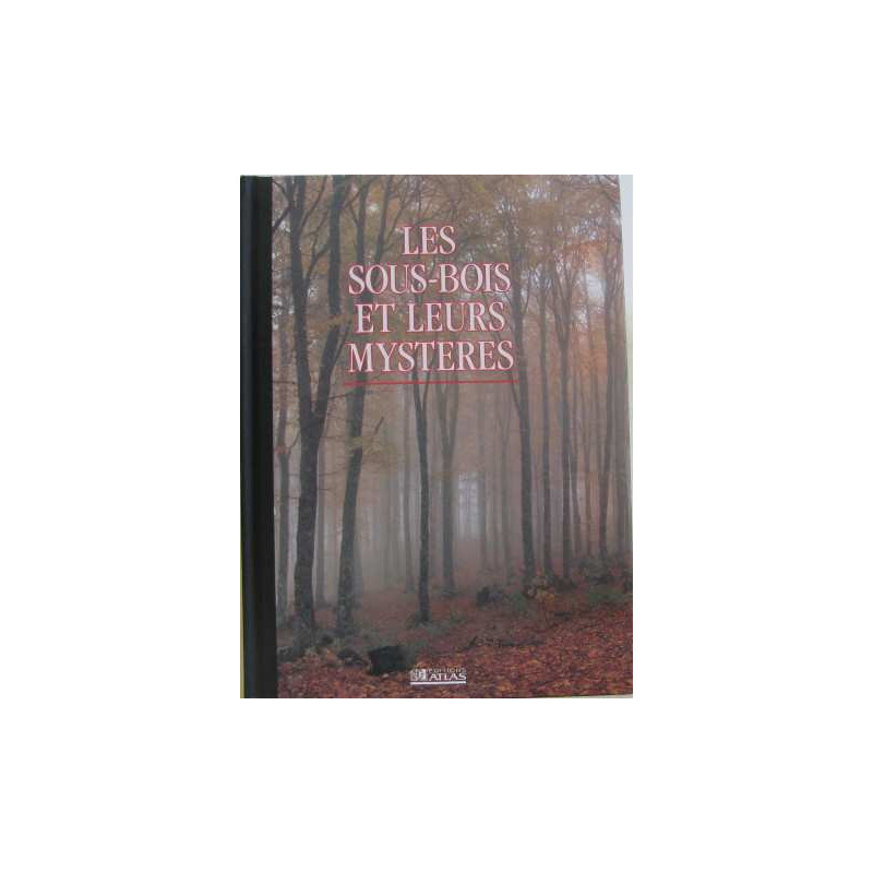 Les sous-bois et leurs mystères