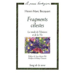 Fragments celestes