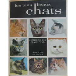 Les plus beaux chats