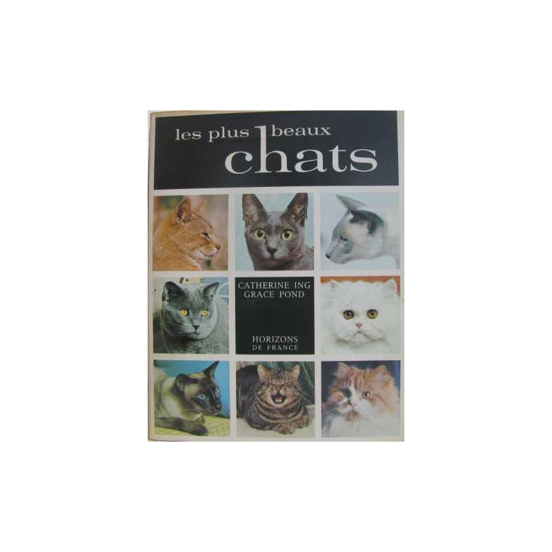 Les plus beaux chats