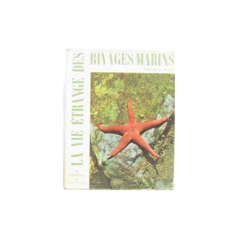 La vie étrange des rivages marins