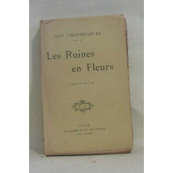 Les ruines en fleurs