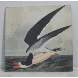 Peintre naturaliste