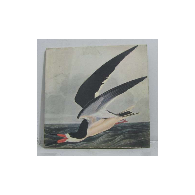 Peintre naturaliste