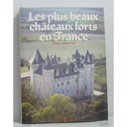 Les plus beaux châteaux forts en france