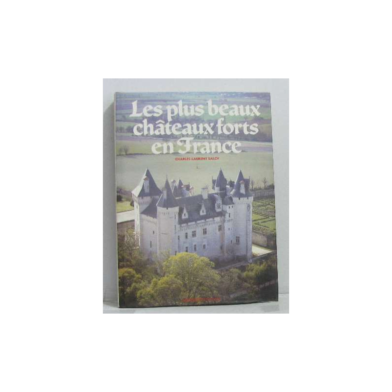Les plus beaux châteaux forts en france