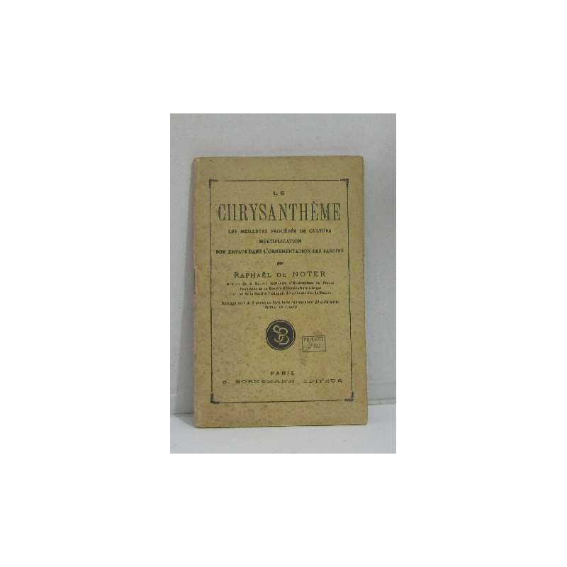 Culture du chrysanthème