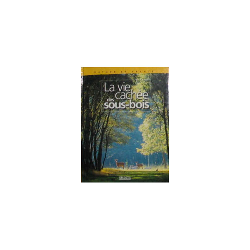 La vie cachée des sous-bois