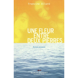 Une Fleur Entre Deux Pierres