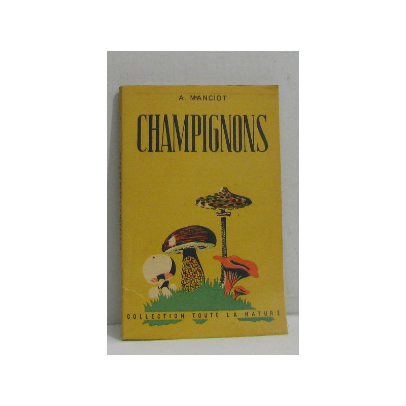 Champignons