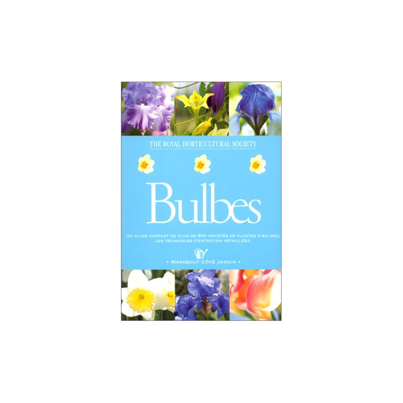 Bulbes