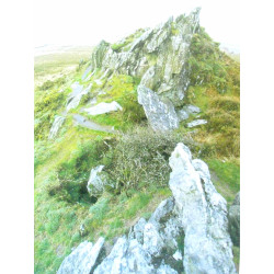 Bretagne