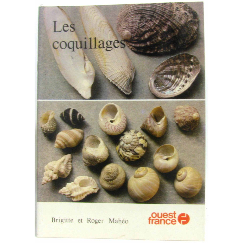 Les coquillages