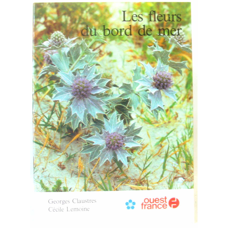 Les fleurs du bord de mer