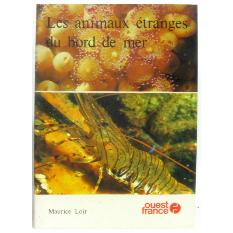 Les animaux étranges du bord de mer