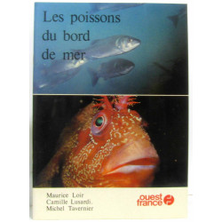 Les poissons du bord de mer