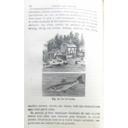 L'esprit des poissons