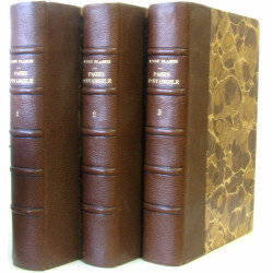 Pages d'évangile (T1: Quelques-unes des déclarations de N.S. Jésus...