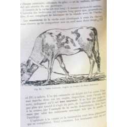 Sciences naturelles - classes de sixième