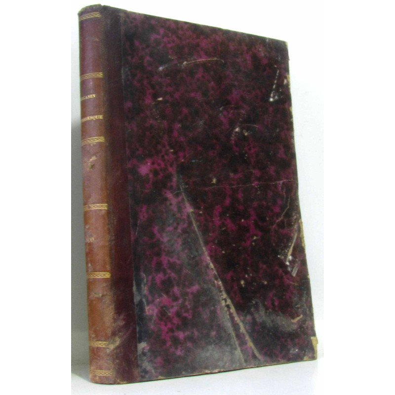 Le magasin pittoresque quarantième année (1872)