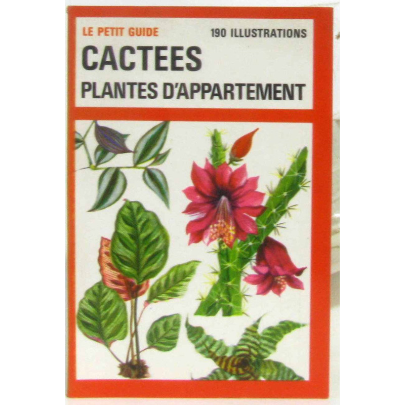 Cactées et plantes d'appartement