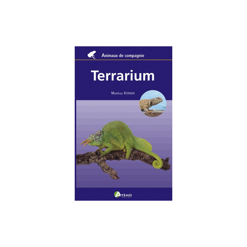 Terrarium pour débutants