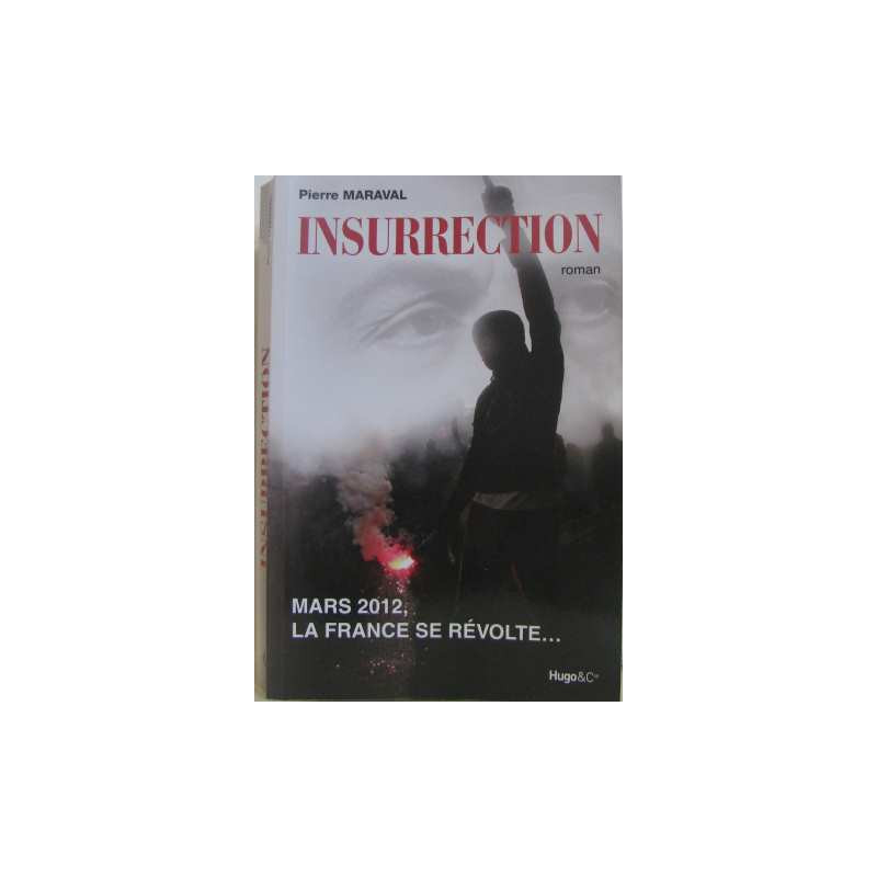 Insurrection : Mars 2012 la France se révolte
