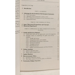 Europe in the 1990's: Efficiency Stability and Equity : Report to...